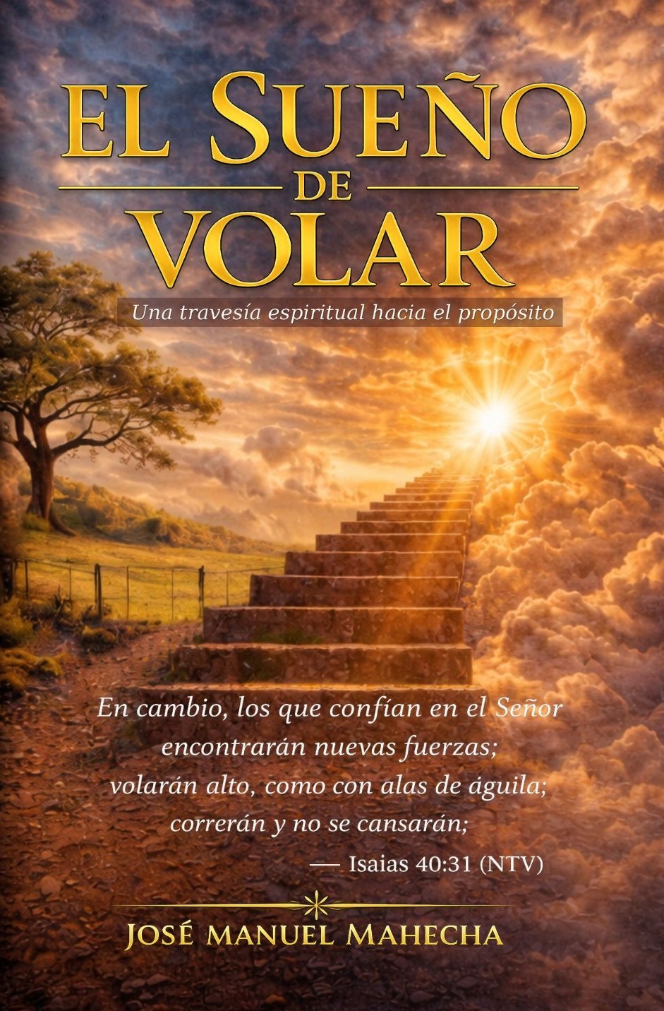 El Sueño de Volar - Portada